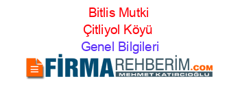 Bitlis+Mutki+Çitliyol+Köyü Genel+Bilgileri