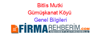 Bitlis+Mutki+Gümüşkanat+Köyü Genel+Bilgileri