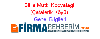 Bitlis+Mutki+Koçyataği+(Çatalerik+Köyü) Genel+Bilgileri