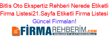 Bitlis+Oto+Ekspertiz+Rehberi+Nerede+Etiketli+Firma+Listesi21.Sayfa+Etiketli+Firma+Listesi Güncel+Firmaları!