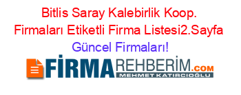 Bitlis+Saray+Kalebirlik+Koop.+Firmaları+Etiketli+Firma+Listesi2.Sayfa Güncel+Firmaları!