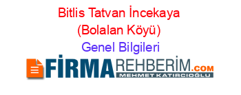 Bitlis+Tatvan+İncekaya+(Bolalan+Köyü) Genel+Bilgileri
