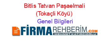 Bitlis+Tatvan+Paşaelmali+(Tokaçli+Köyü) Genel+Bilgileri