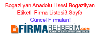 Bogazliyan+Anadolu+Lisesi+Bogazliyan+Etiketli+Firma+Listesi3.Sayfa Güncel+Firmaları!