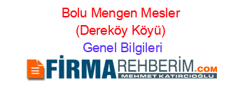 Bolu+Mengen+Mesler+(Dereköy+Köyü) Genel+Bilgileri