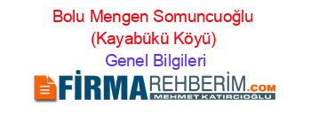 Bolu+Mengen+Somuncuoğlu+(Kayabükü+Köyü) Genel+Bilgileri