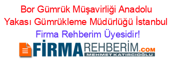 Bor+Gümrük+Müşavirliği+Anadolu+Yakası+Gümrükleme+Müdürlüğü+İstanbul Firma+Rehberim+Üyesidir!