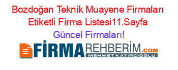 Bozdoğan+Teknik+Muayene+Firmaları+Etiketli+Firma+Listesi11.Sayfa Güncel+Firmaları!