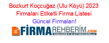 Bozkurt+Koçcuğaz+(Ulu+Köyü)+2023+Firmaları+Etiketli+Firma+Listesi Güncel+Firmaları!