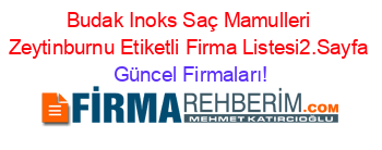 Budak+Inoks+Saç+Mamulleri+Zeytinburnu+Etiketli+Firma+Listesi2.Sayfa Güncel+Firmaları!