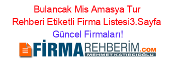 Bulancak+Mis+Amasya+Tur+Rehberi+Etiketli+Firma+Listesi3.Sayfa Güncel+Firmaları!