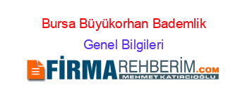 Bursa+Büyükorhan+Bademlik Genel+Bilgileri