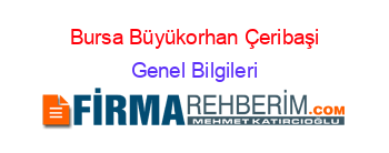 Bursa+Büyükorhan+Çeribaşi Genel+Bilgileri