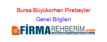 Bursa+Büyükorhan+Pirebeyler Genel+Bilgileri