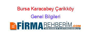 Bursa+Karacabey+Çarikköy Genel+Bilgileri