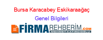 Bursa+Karacabey+Eskikaraağaç Genel+Bilgileri