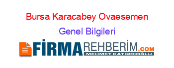 Bursa+Karacabey+Ovaesemen Genel+Bilgileri