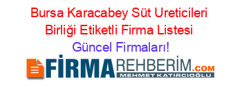 Bursa+Karacabey+Süt+Ureticileri+Birliği+Etiketli+Firma+Listesi Güncel+Firmaları!