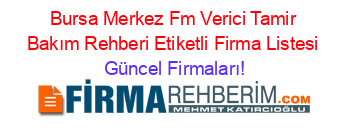 Bursa+Merkez+Fm+Verici+Tamir+Bakım+Rehberi+Etiketli+Firma+Listesi Güncel+Firmaları!