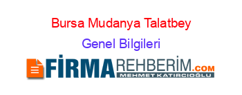 Bursa+Mudanya+Talatbey Genel+Bilgileri