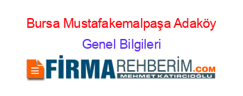 Bursa+Mustafakemalpaşa+Adaköy Genel+Bilgileri
