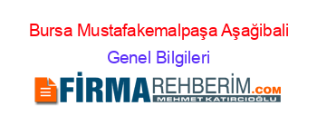 Bursa+Mustafakemalpaşa+Aşağibali Genel+Bilgileri