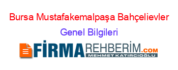 Bursa+Mustafakemalpaşa+Bahçelievler Genel+Bilgileri