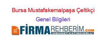 Bursa+Mustafakemalpaşa+Çeltikçi Genel+Bilgileri