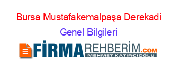Bursa+Mustafakemalpaşa+Derekadi Genel+Bilgileri