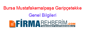 Bursa+Mustafakemalpaşa+Garipçetekke Genel+Bilgileri