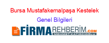 Bursa+Mustafakemalpaşa+Kestelek Genel+Bilgileri