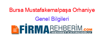 Bursa+Mustafakemalpaşa+Orhaniye Genel+Bilgileri
