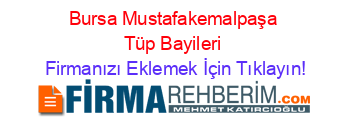 Bursa+Mustafakemalpaşa+Tüp+Bayileri Firmanızı+Eklemek+İçin+Tıklayın!