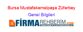 Bursa+Mustafakemalpaşa+Züferbey Genel+Bilgileri