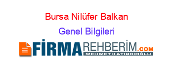Bursa+Nilüfer+Balkan Genel+Bilgileri