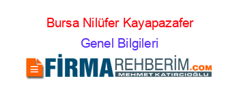 Bursa+Nilüfer+Kayapazafer Genel+Bilgileri