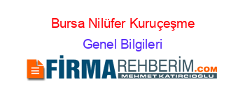 Bursa+Nilüfer+Kuruçeşme Genel+Bilgileri