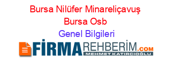 Bursa+Nilüfer+Minareliçavuş+Bursa+Osb Genel+Bilgileri