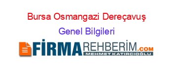 Bursa+Osmangazi+Dereçavuş Genel+Bilgileri