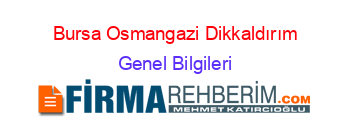 Bursa+Osmangazi+Dikkaldırım Genel+Bilgileri