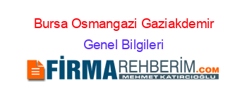 Bursa+Osmangazi+Gaziakdemir Genel+Bilgileri