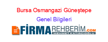 Bursa+Osmangazi+Güneştepe Genel+Bilgileri