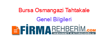 Bursa+Osmangazi+Tahtakale Genel+Bilgileri