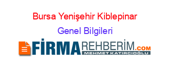Bursa+Yenişehir+Kiblepinar Genel+Bilgileri
