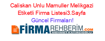 Caliskan+Unlu+Mamuller+Melikgazi+Etiketli+Firma+Listesi3.Sayfa Güncel+Firmaları!