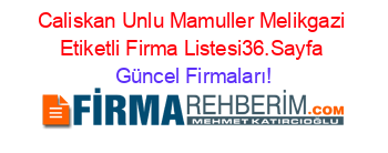 Caliskan+Unlu+Mamuller+Melikgazi+Etiketli+Firma+Listesi36.Sayfa Güncel+Firmaları!