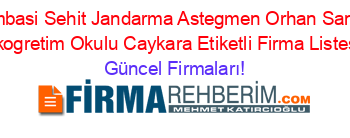 Cambasi+Sehit+Jandarma+Astegmen+Orhan+Sancar+Ilkogretim+Okulu+Caykara+Etiketli+Firma+Listesi Güncel+Firmaları!