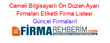 Cameli+Bilgisayarlı+On+Düzen+Ayarı+Firmaları+Etiketli+Firma+Listesi Güncel+Firmaları!