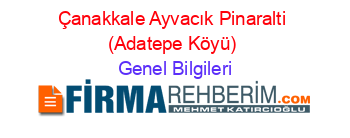 Çanakkale+Ayvacık+Pinaralti+(Adatepe+Köyü) Genel+Bilgileri