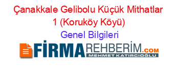 Çanakkale+Gelibolu+Küçük+Mithatlar+1+(Koruköy+Köyü) Genel+Bilgileri